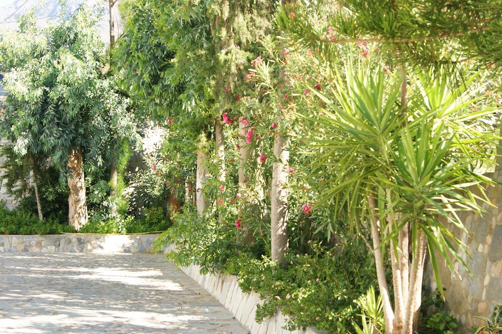 Lofos Hotel Plakias Zewnętrze zdjęcie