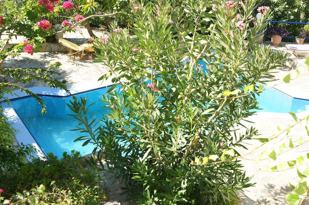 Lofos Hotel Plakias Zewnętrze zdjęcie
